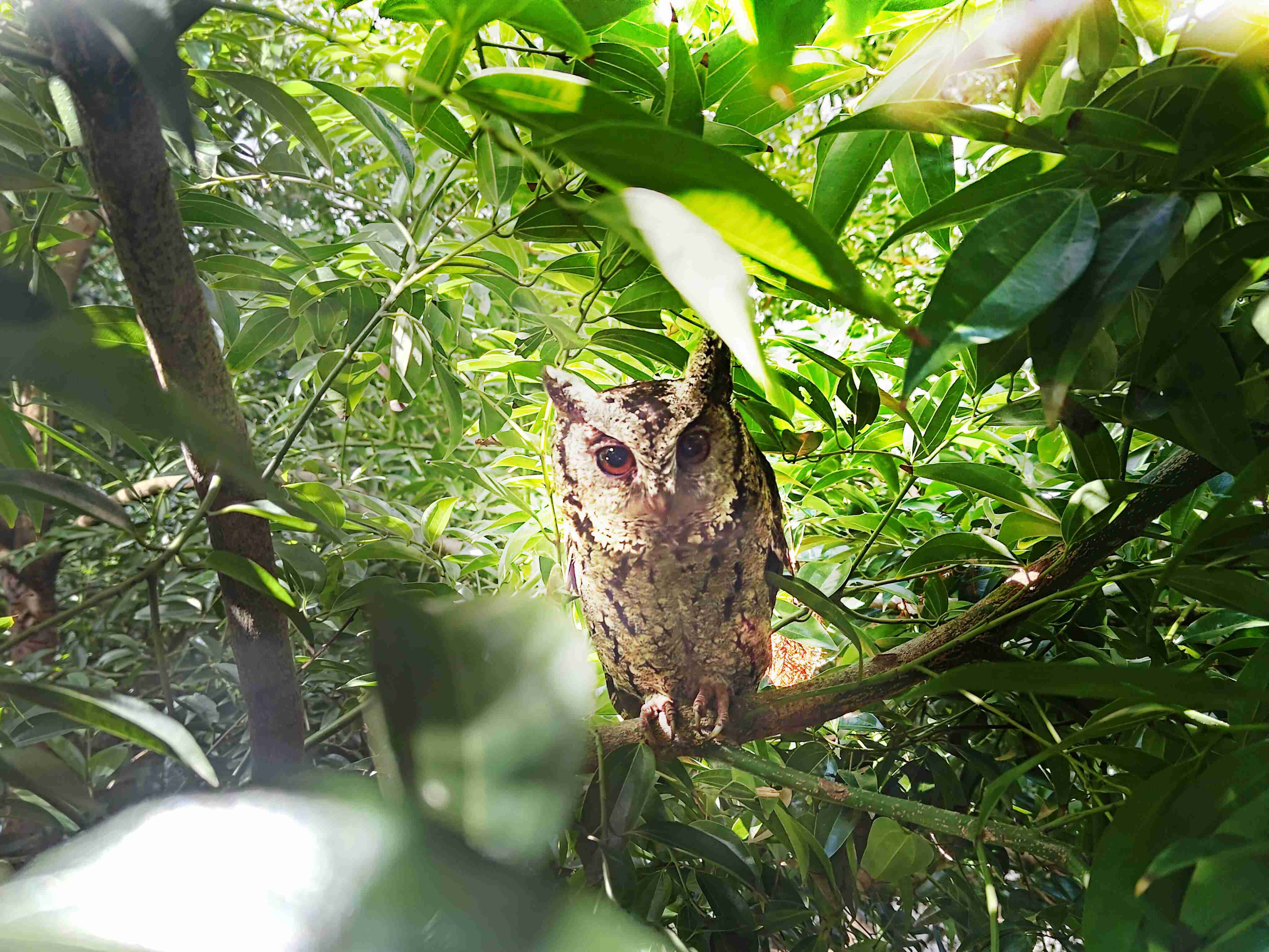 尊时凯龙致力提倡净零绿生活，，，16年以来在全球各厂区植树逾百万棵，，，，造就各厂区树木蔚然成林，，，犹如森林工厂，，成为许多生物的栖息地